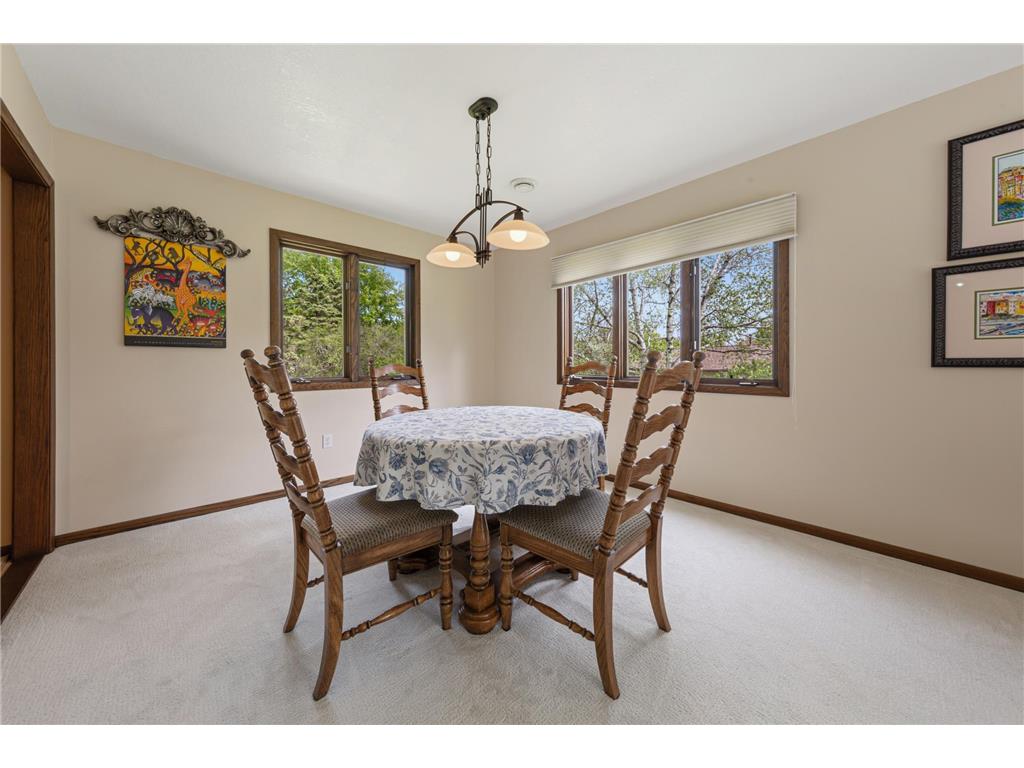 10545 First Timberlane Drive Bridgewater Twp MN 55057 7073086 image17