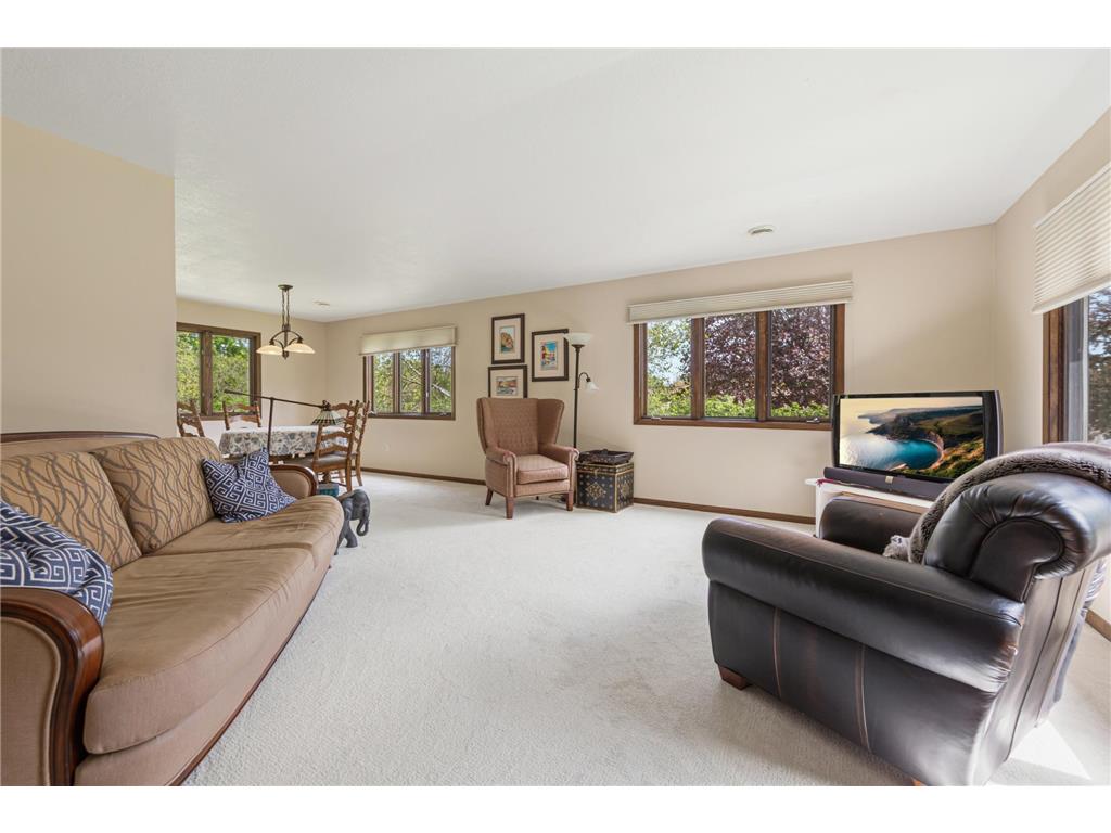 10545 First Timberlane Drive Bridgewater Twp MN 55057 7073086 image19