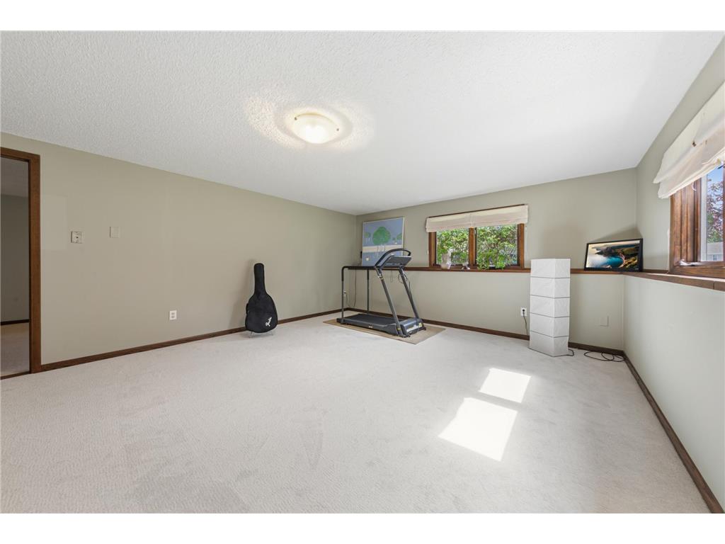 10545 First Timberlane Drive Bridgewater Twp MN 55057 7073086 image28