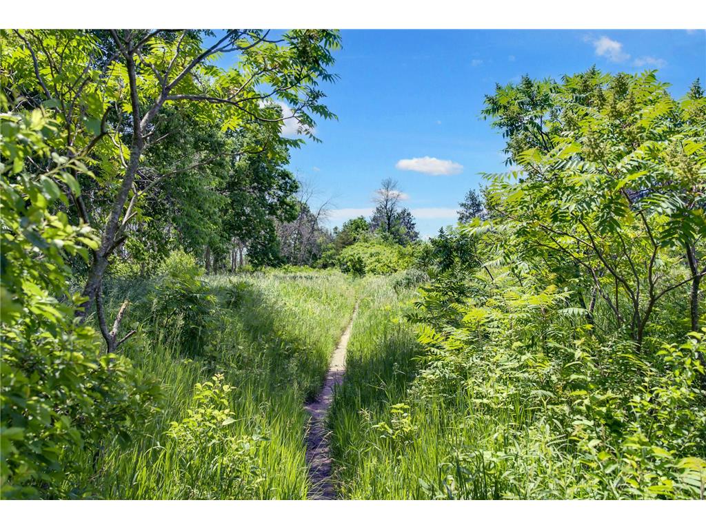 10545 Glenbrook Avenue S Cottage Grove MN 55016 7071117 image16
