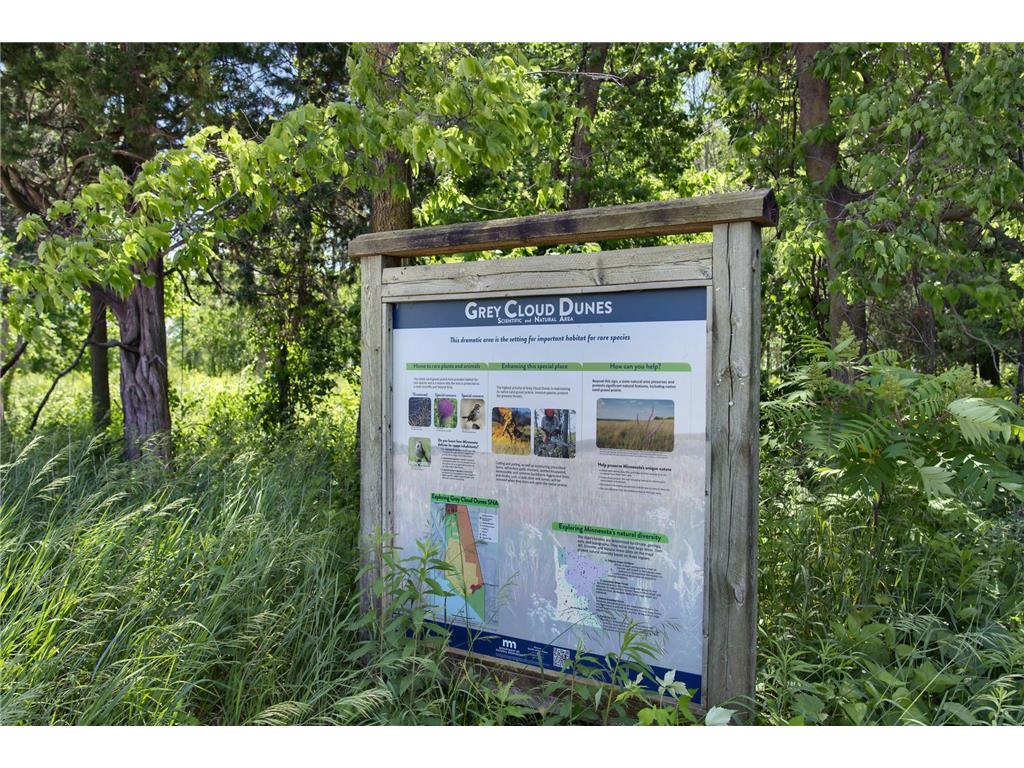 10545 Glenbrook Avenue S Cottage Grove MN 55016 7071117 image17
