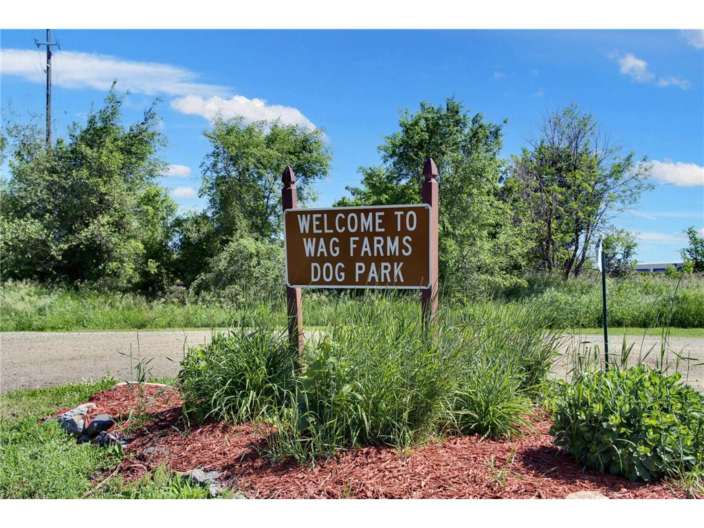 10545 Glenbrook Avenue S Cottage Grove MN 55016 7071117 image19