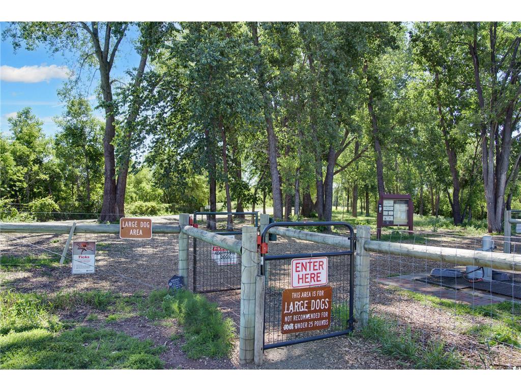 10545 Glenbrook Avenue S Cottage Grove MN 55016 7071117 image20