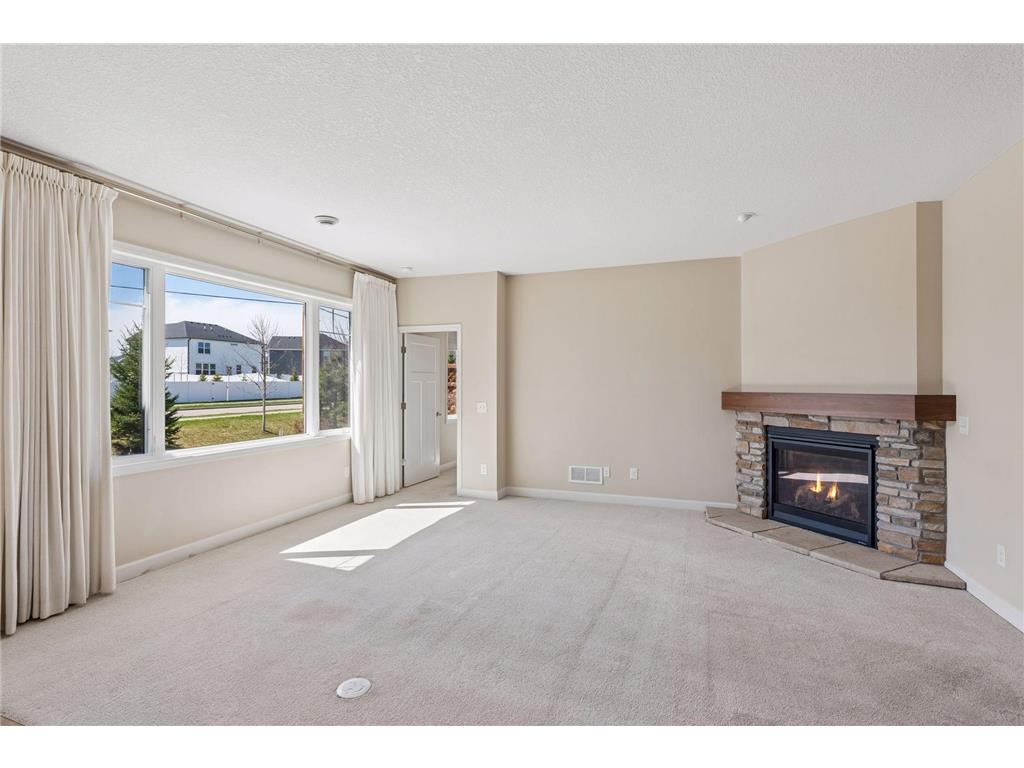 1055 Roselyn Drive Victoria MN 55386 7053104 image13