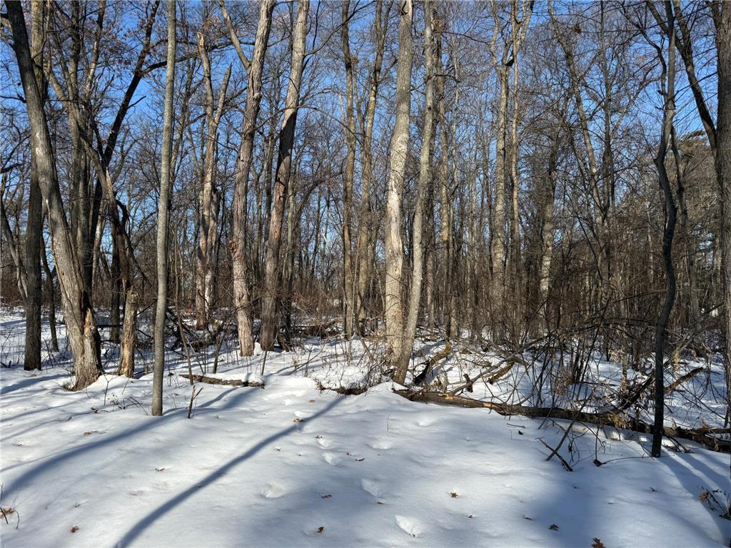 10551 Oak Point Road NW Leech Lake Twp MN 56633 - Leech Lake 7016168 image18