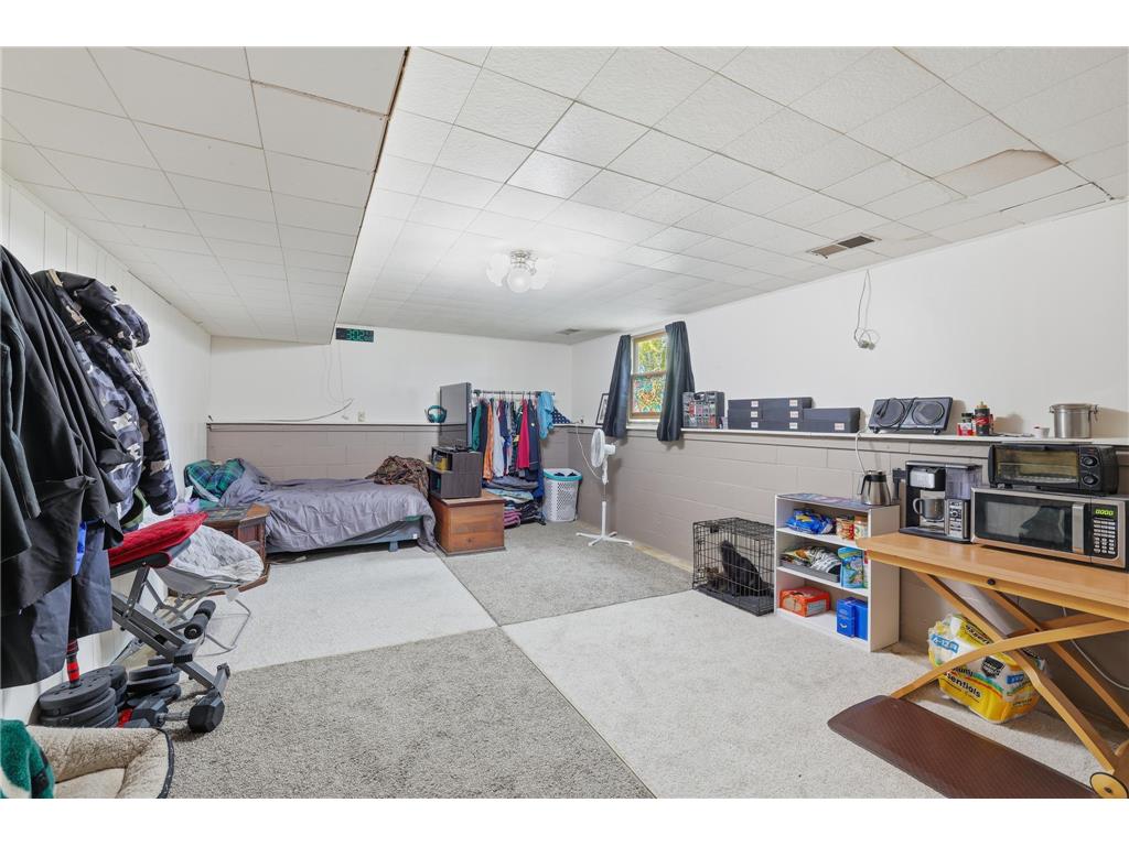 1056 Birch Avenue Red Wing MN 55066 6811918 image13