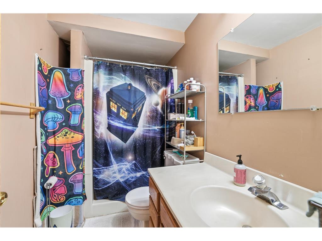 1056 Birch Avenue Red Wing MN 55066 6811918 image14