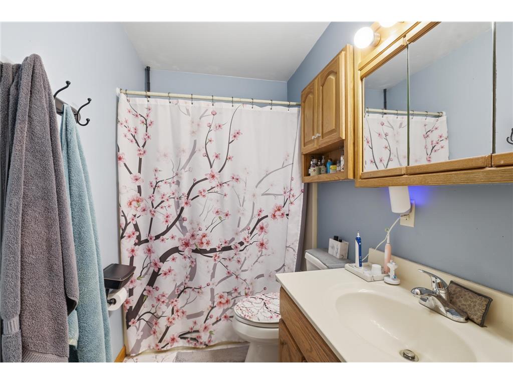 1056 Birch Avenue Red Wing MN 55066 6811918 image9