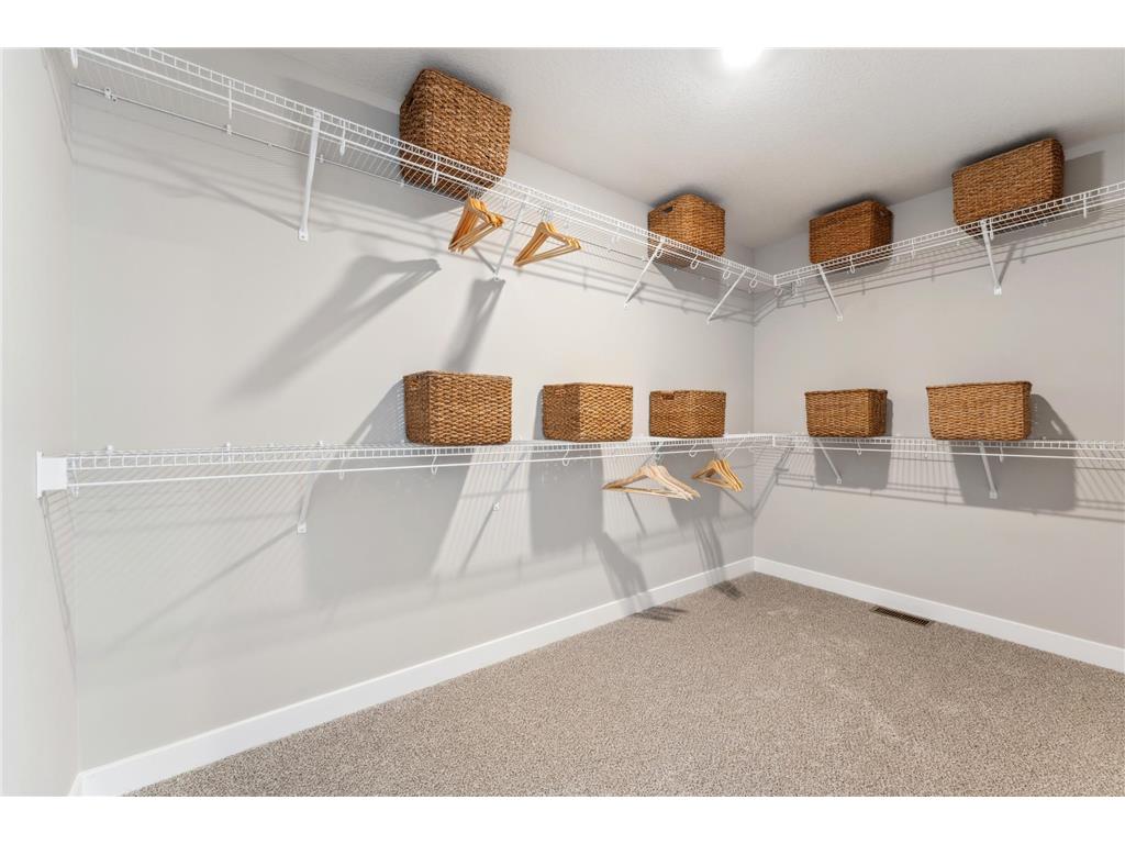 10561 Bent Pine Lane Woodbury MN 55129 7012605 image23