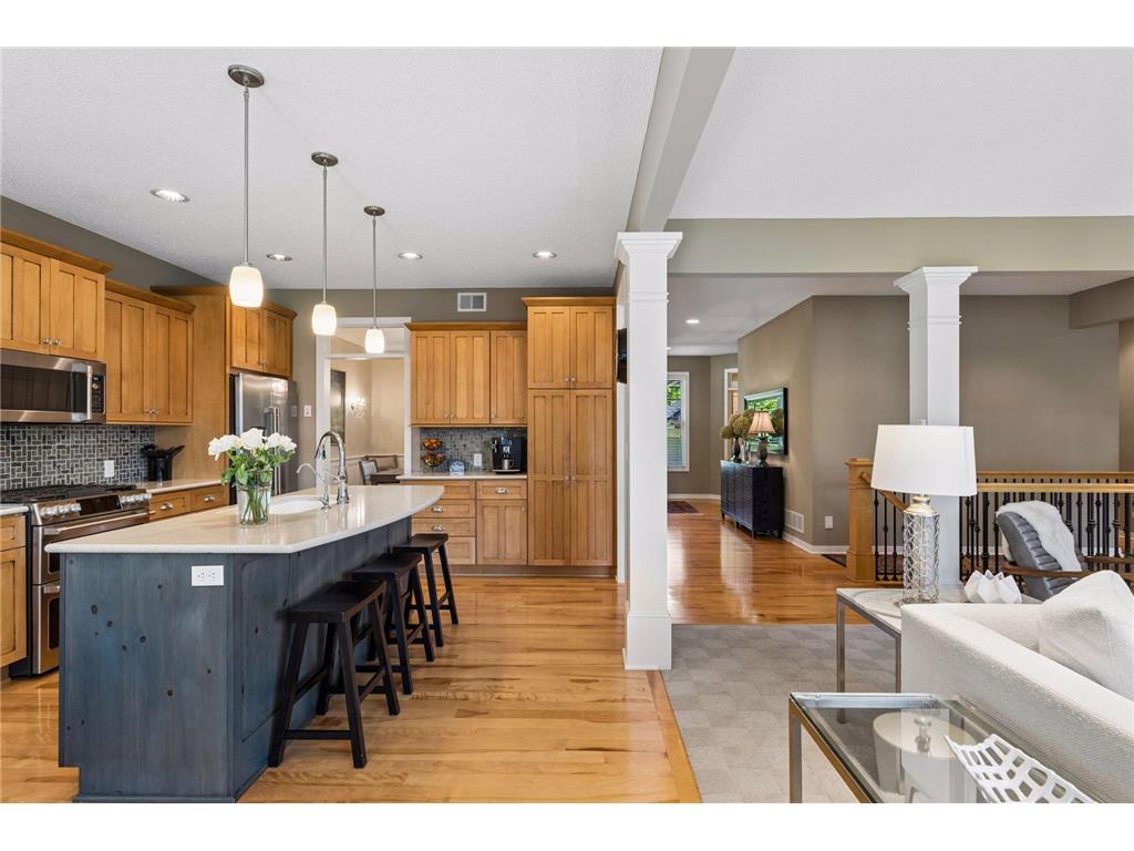10565 Water Lily Lane Woodbury MN 55129 7082104 image6