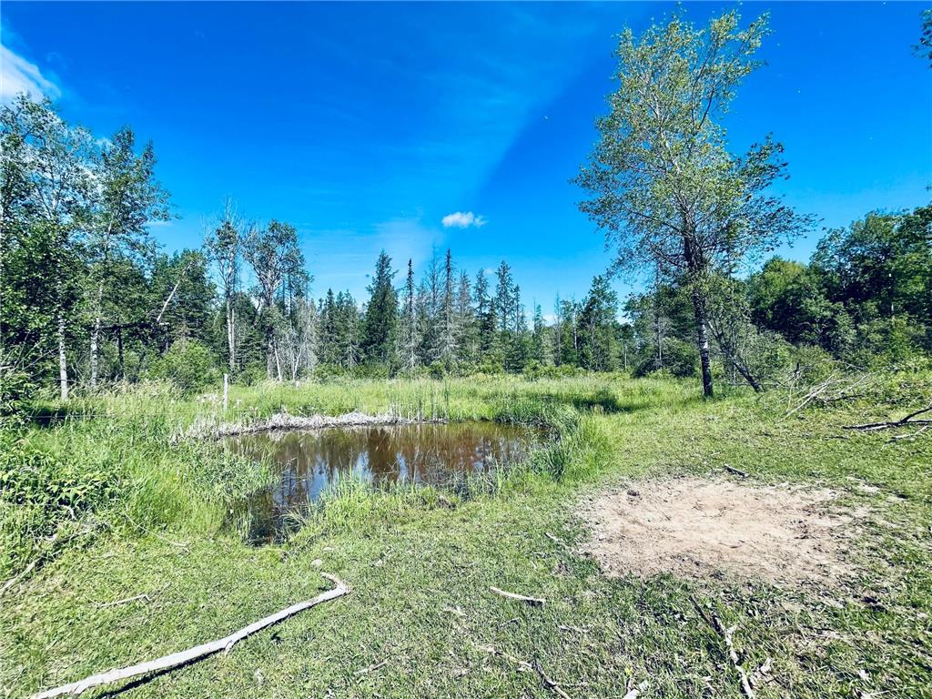 10587 W Toivola Road, Toivola Twp, MN, 55765 MLS 6560901 Edina Realty