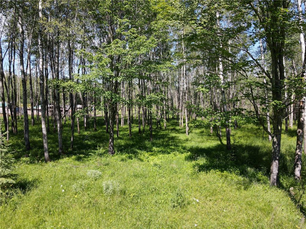 10587 W Toivola Road, Toivola Twp, MN, 55765 MLS 6560901 Edina Realty