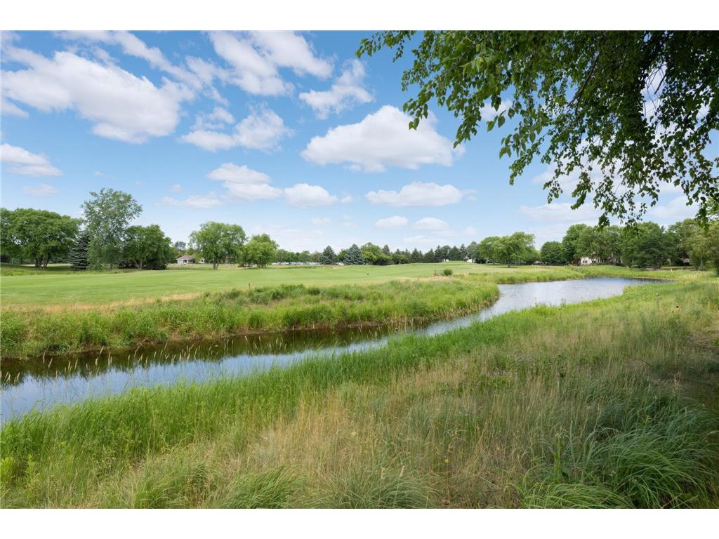 10590 Watersedge Lane Woodbury MN 55129 7047852 image87