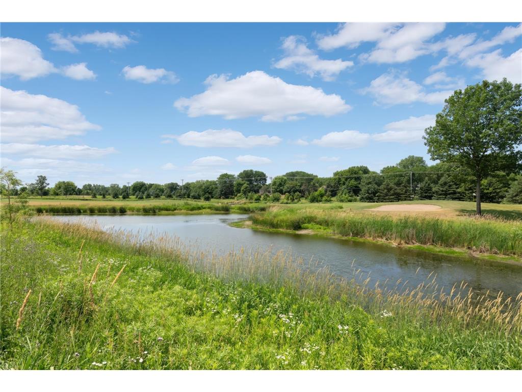 10590 Watersedge Lane Woodbury MN 55129 7047852 image88