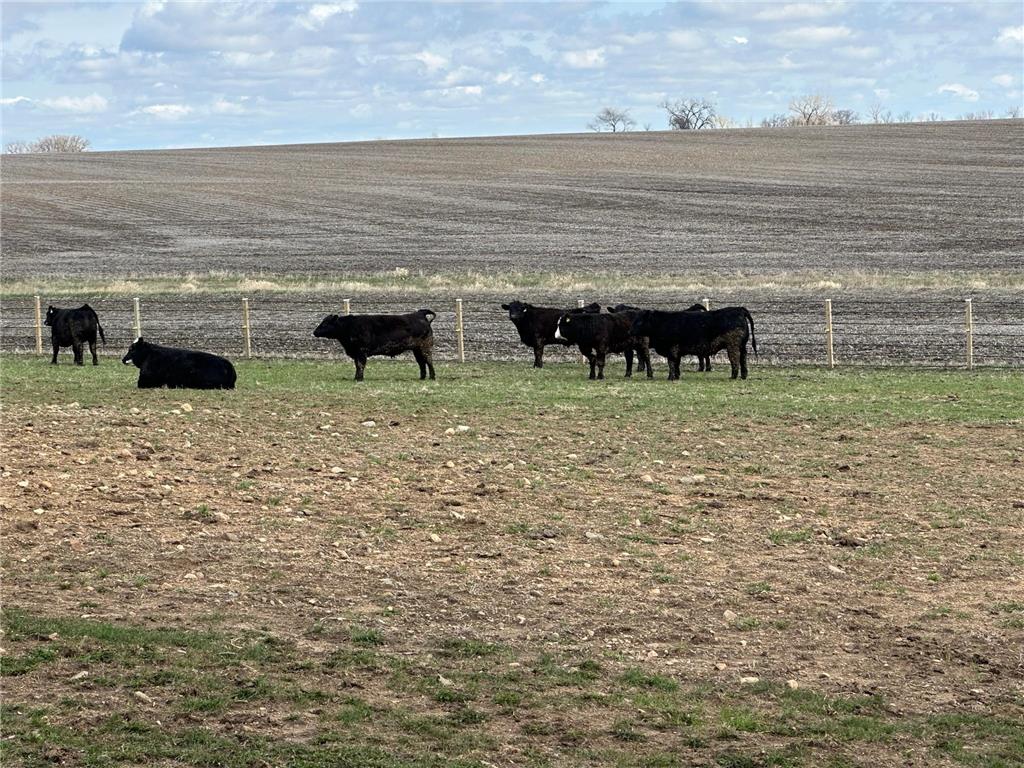 10599 State Highway 56 Le Roy MN 55951 6708606 image39