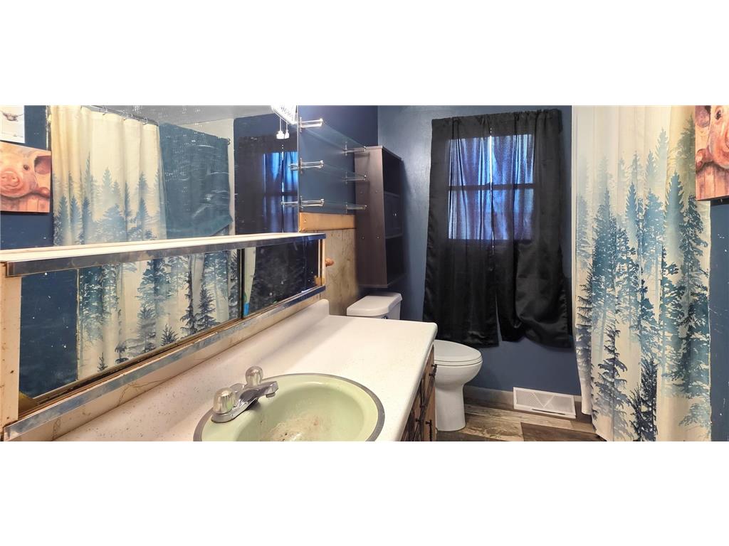 106 1st Street N Darfur MN 56022 7106121 image7
