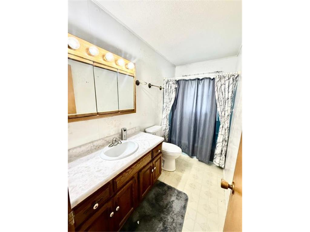 106 Boulevard Street Belview MN 56214 7082876 image14
