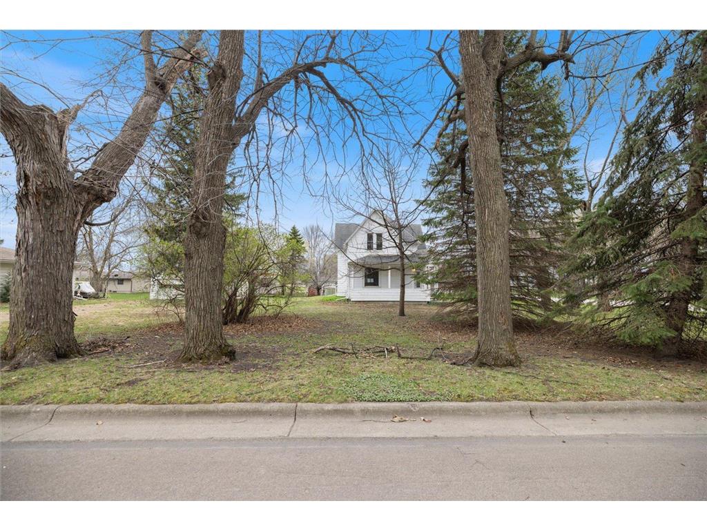 106 E Park Avenue Buffalo Lake MN 55332 7061969 image43
