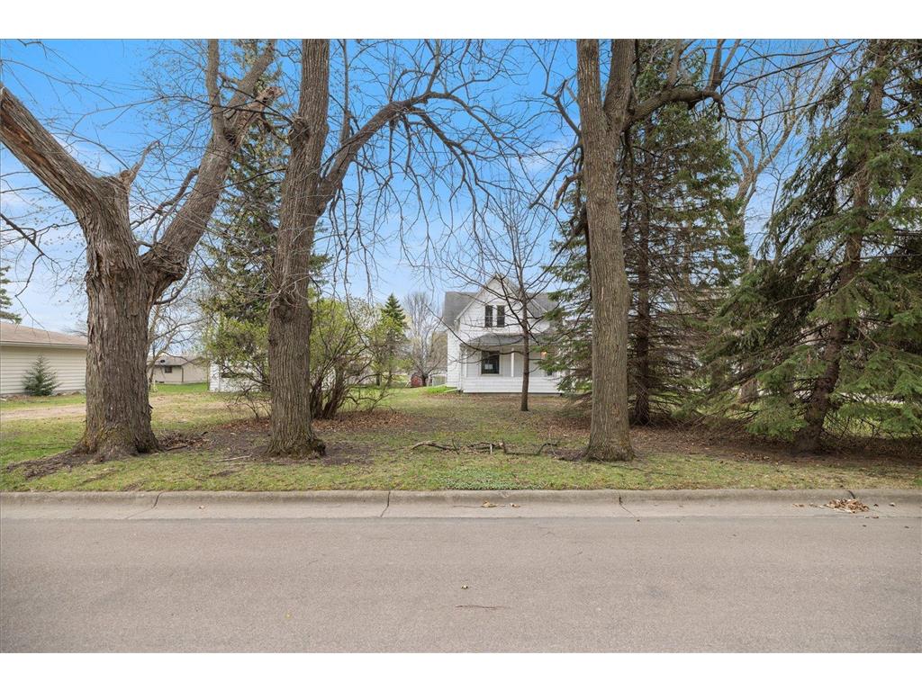 106 E Park Avenue Buffalo Lake MN 55332 7061969 image44