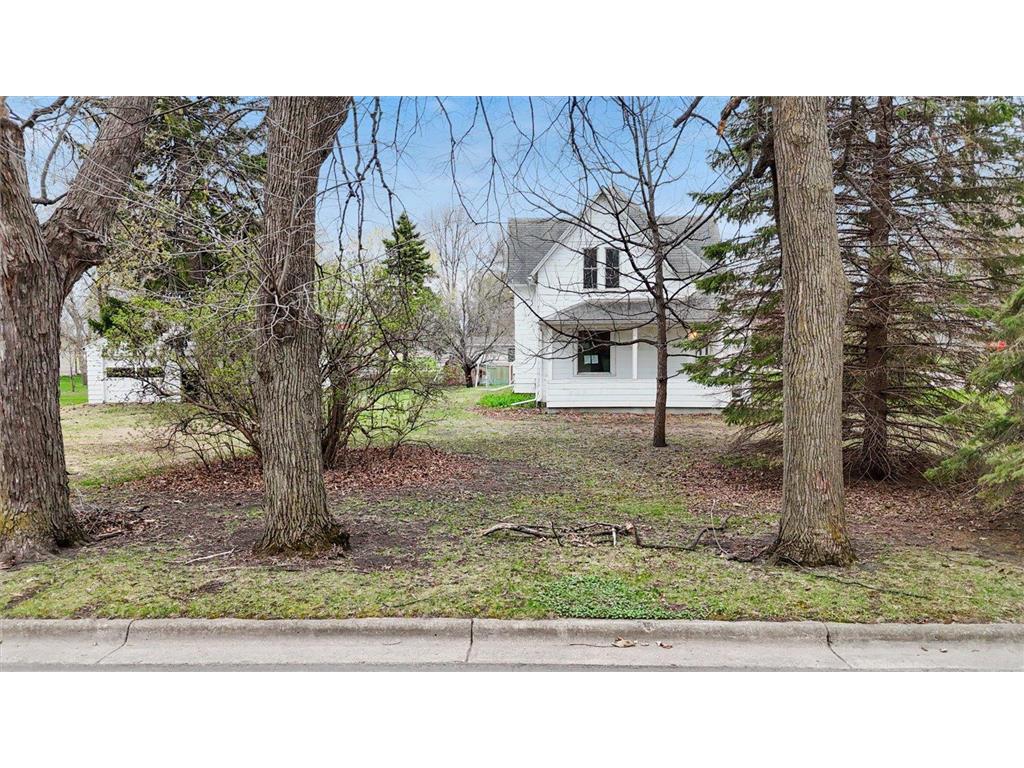 106 E Park Avenue Buffalo Lake MN 55332 7061969 image48