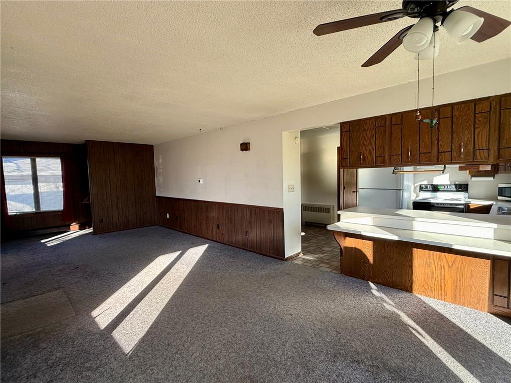 106 N 2nd Street Belview MN 56214 6812080 image17