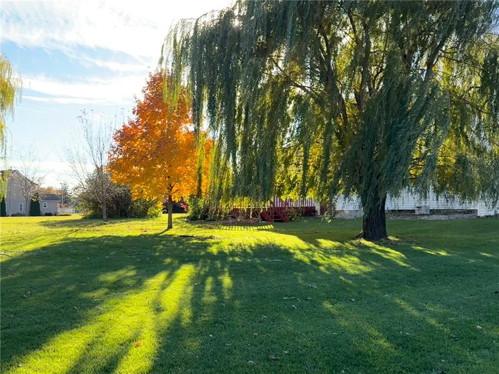 106 N 2nd Street Belview MN 56214 6812080 image6