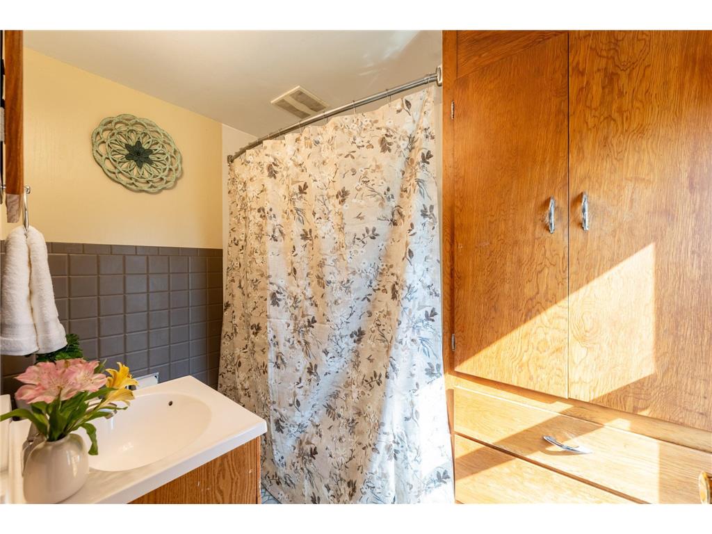 106 N 4th Street Goodhue MN 55027 7046121 image28
