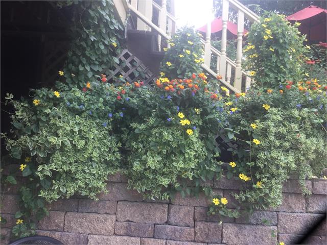 Lanesboro Mn Commercial Real Estate For Sale Edina Realty