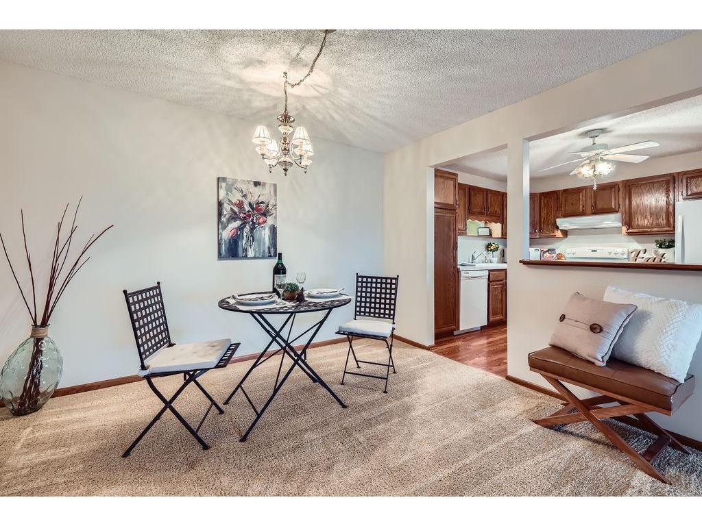 10600 43rd Avenue N #205 Plymouth MN 55442 6701475 image1