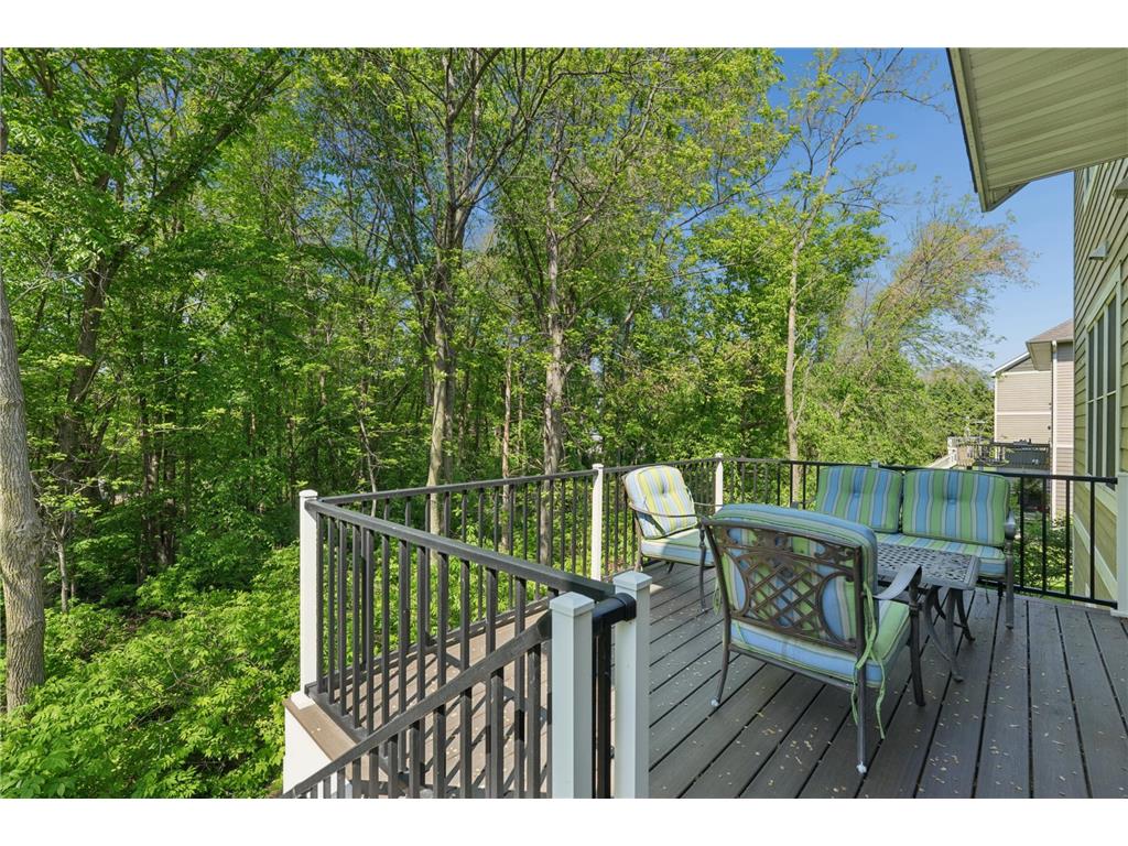10601 Watersedge Lane Woodbury MN 55129 7061681 image17