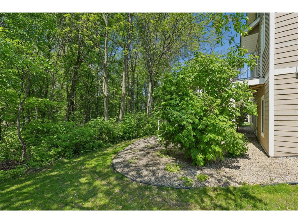 10601 Watersedge Lane Woodbury MN 55129 7061681 image44