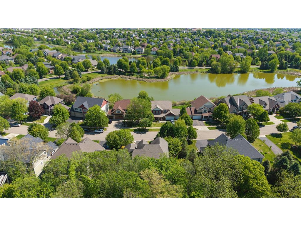 10601 Watersedge Lane Woodbury MN 55129 7061681 image53