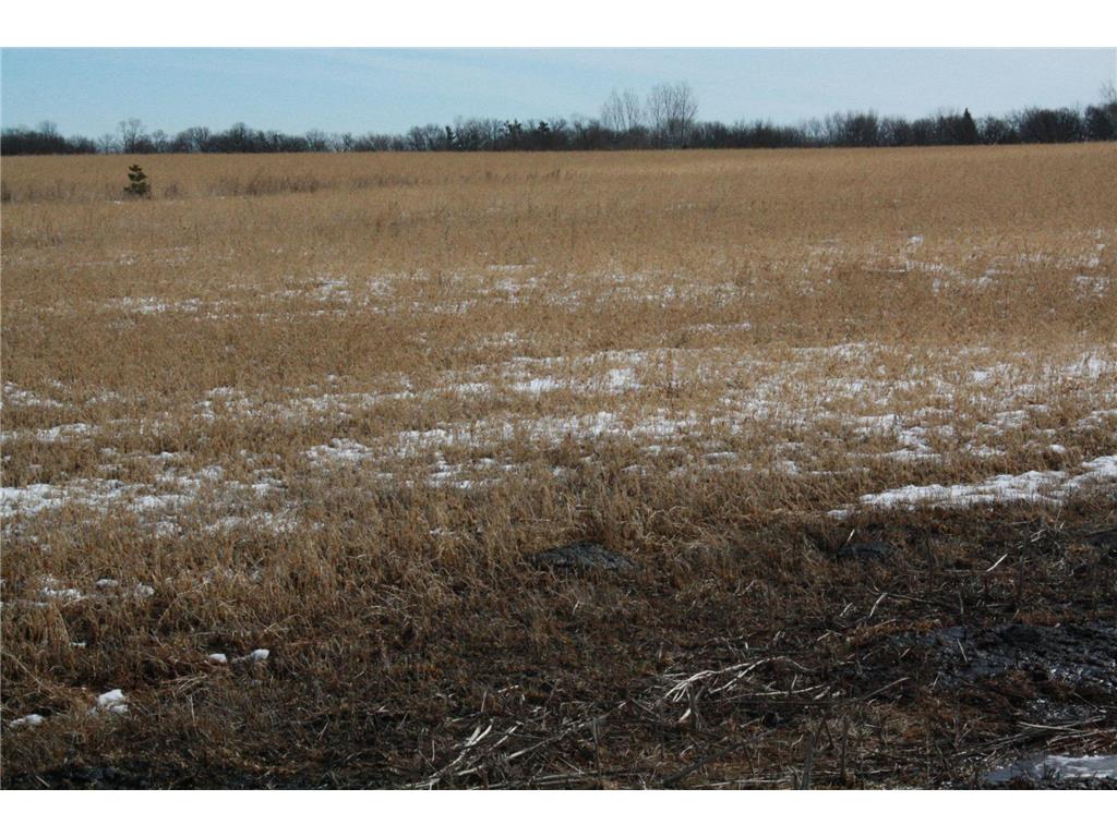 10611 Marty View Circle Kimball MN 55353 6653667 image1