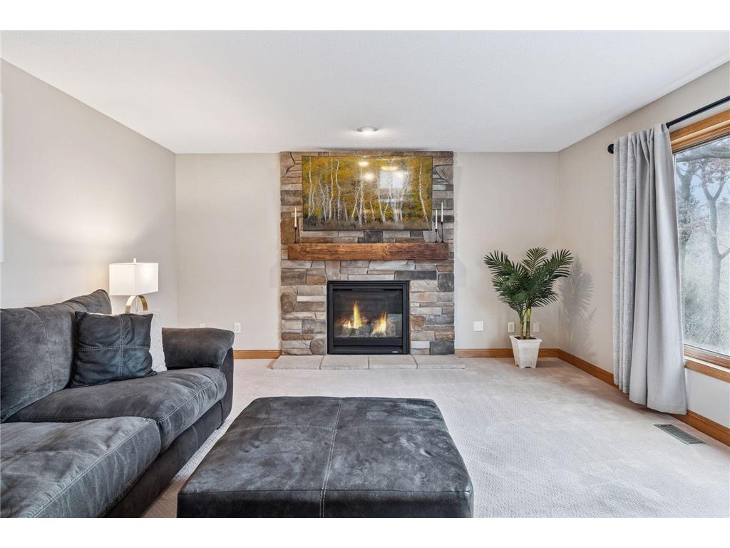 10612 Alison Way Inver Grove Heights MN 55077 6818757 image13