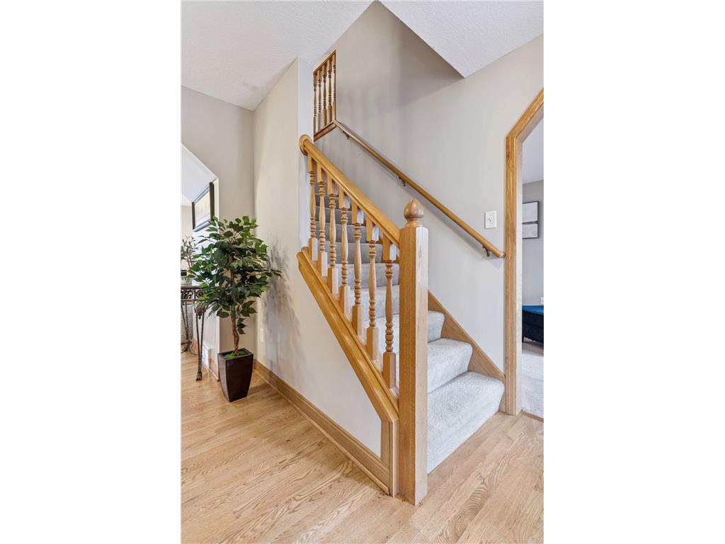 10612 Alison Way Inver Grove Heights MN 55077 6818757 image17