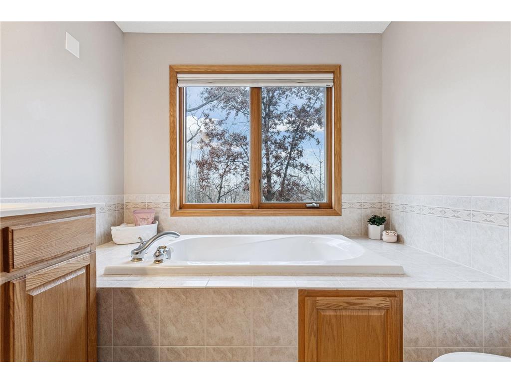 10612 Alison Way Inver Grove Heights MN 55077 6818757 image28