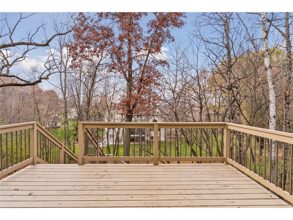 10612 Alison Way Inver Grove Heights MN 55077 6818757 image48