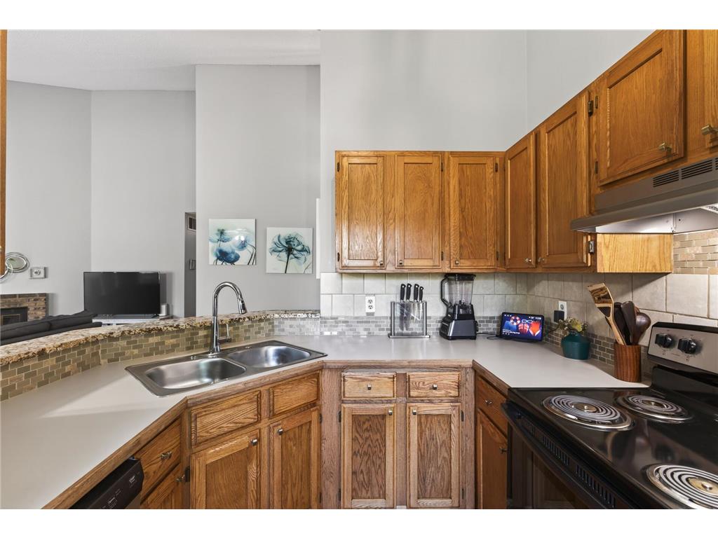 1063 Duckwood Drive #207 Eagan MN 55123 7080907 image10