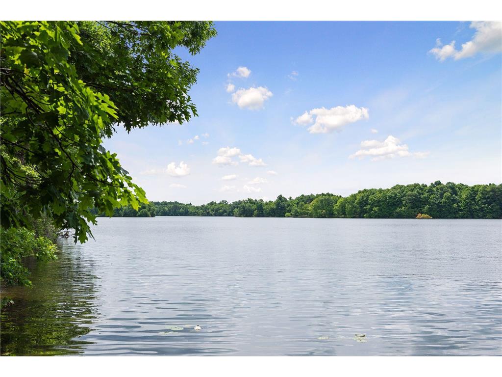 1063 Langston Court Shakopee MN 55379 7010667 image95