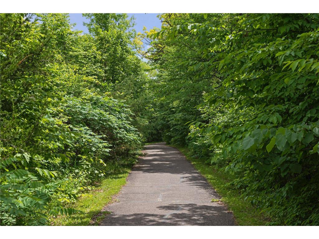 1063 Langston Court Shakopee MN 55379 7010667 image96