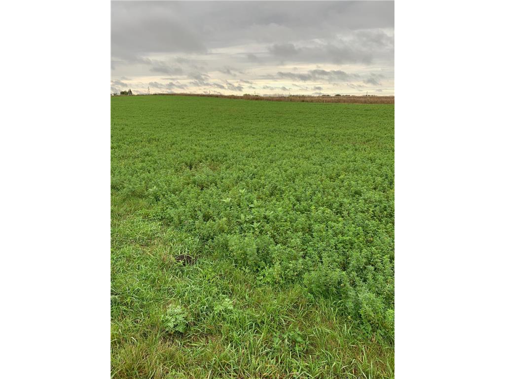 10630 Marty View Circle Kimball MN 55353 6654256 image1