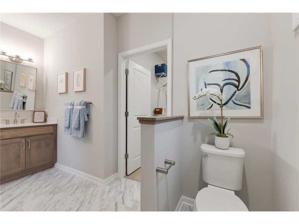 10638 Mississippi Dunes Trail S Cottage Grove MN 55016 7023199 image14