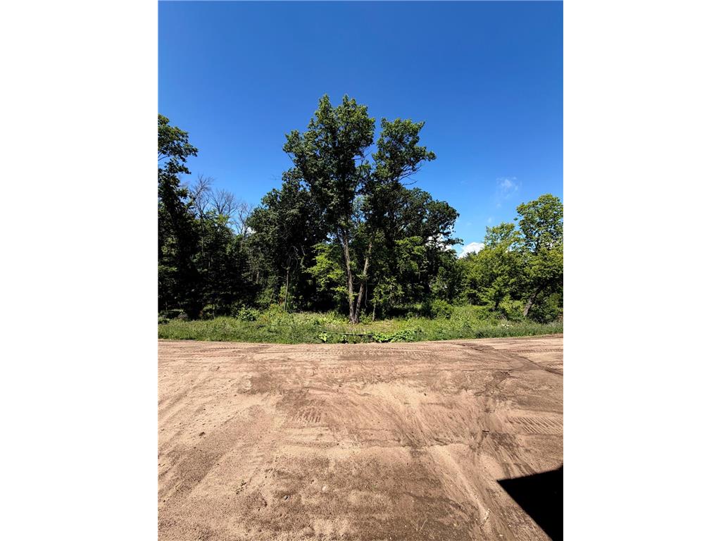 10638 Mississippi Dunes Trail S Cottage Grove MN 55016 7023199 image25