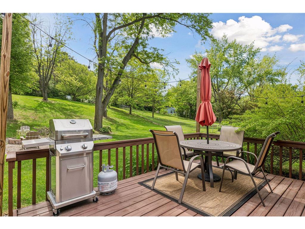 1064 Hackmann Circle NE Fridley MN 55432 7081155 image5