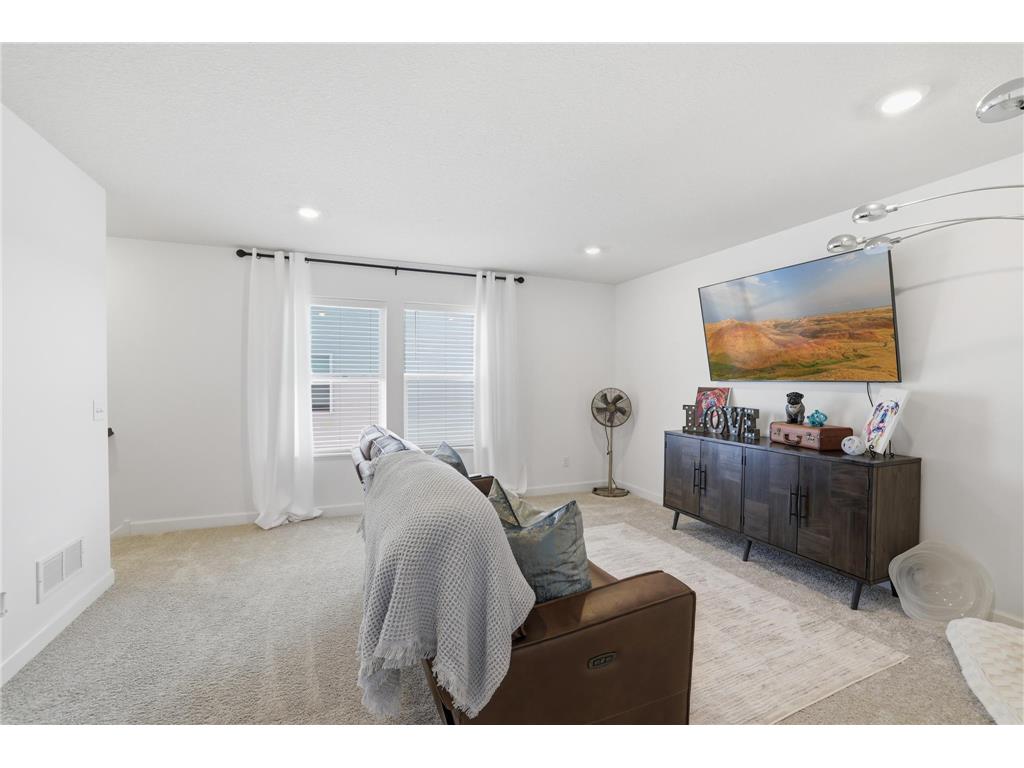 10644 Hinton Avenue S Cottage Grove MN 55016 7035164 image24