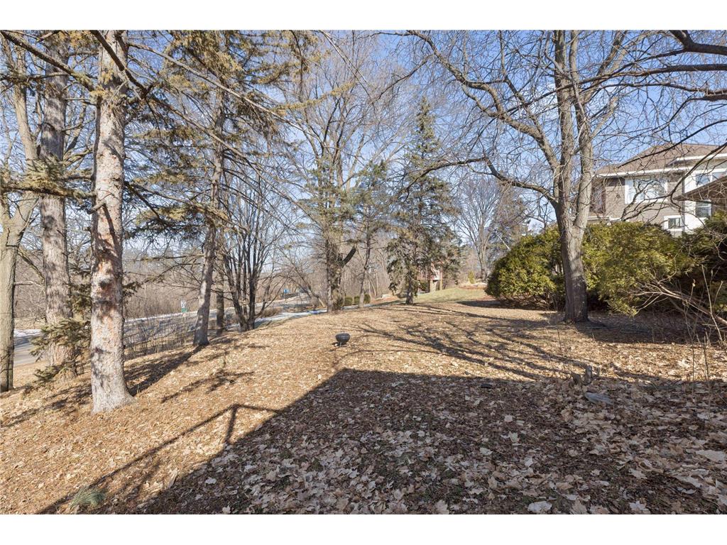 1065 Colby Street Saint Paul MN 55116 - Mississippi 7027893 image10