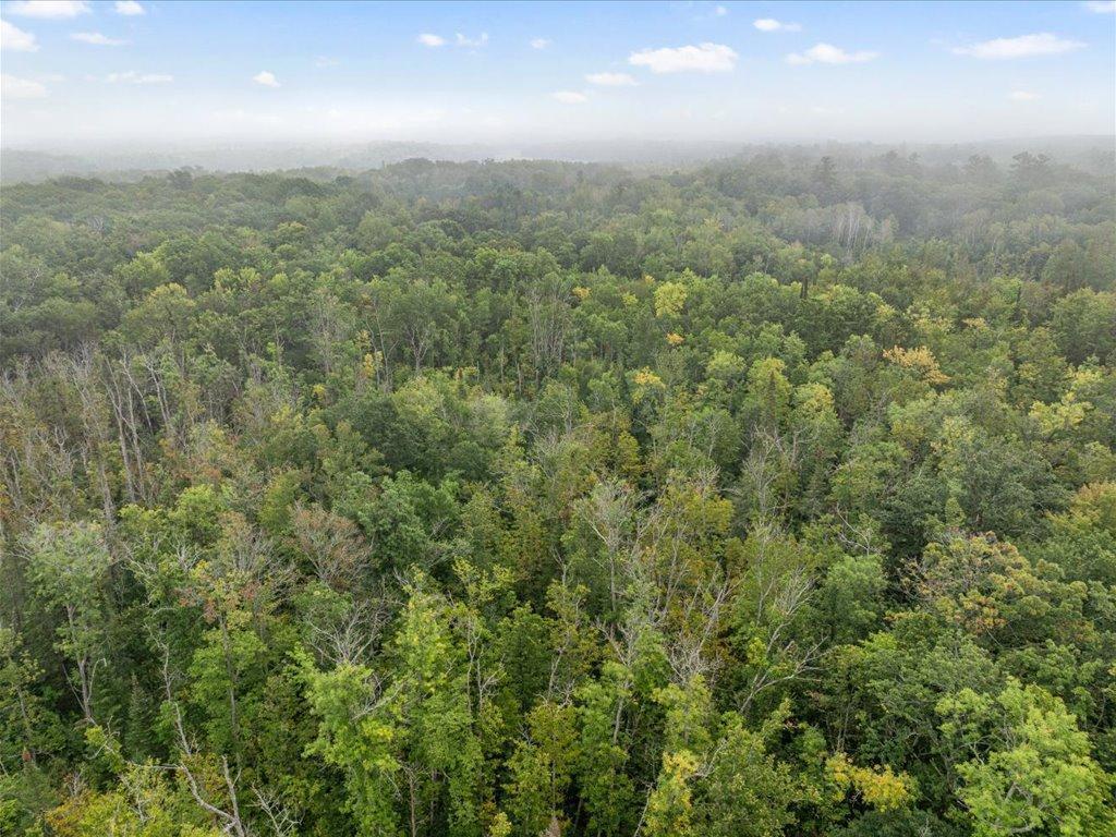 10657 Black Bear Road Brainerd MN 56401 6650678 image40