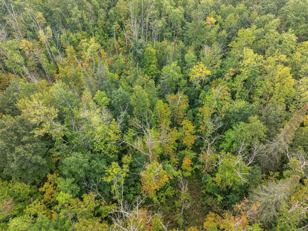 10657 Black Bear Road Brainerd MN 56401 6650678 image44