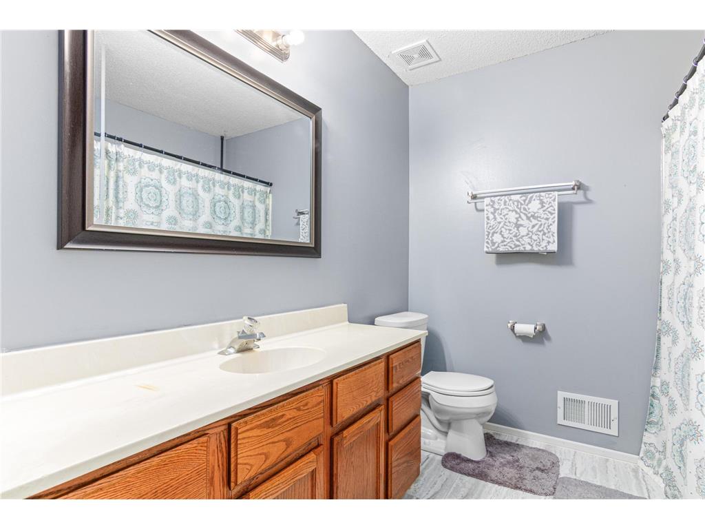 10658 Hummingbird Street NW Coon Rapids MN 55433 7006320 image18