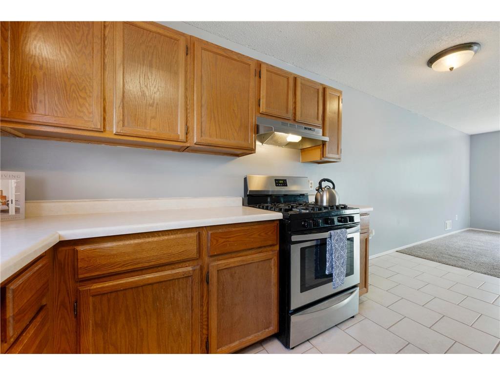 10658 Hummingbird Street NW Coon Rapids MN 55433 7085288 image10